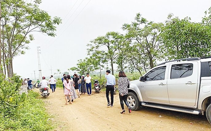 Các cơn &quot;sốt&quot; đất có thể do cò tung tin và sàn giao dịch BĐS &quot;thổi giá&quot;
