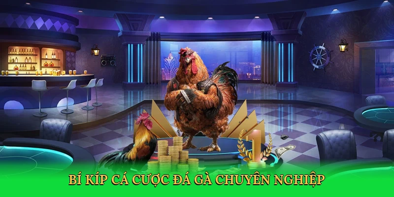 Đá Gà Nòi Cựa Sắt – Đam Mê Thắng Lớn Tại Xocdia88