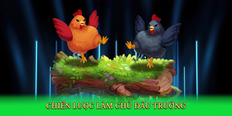 Đá Gà Tre – Hành Trình Cá Cược Kịch Tính Tại RED88