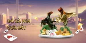 Những Điều Cần Biết Khi Đầu Tư Đất Nền Tại Việt Nam