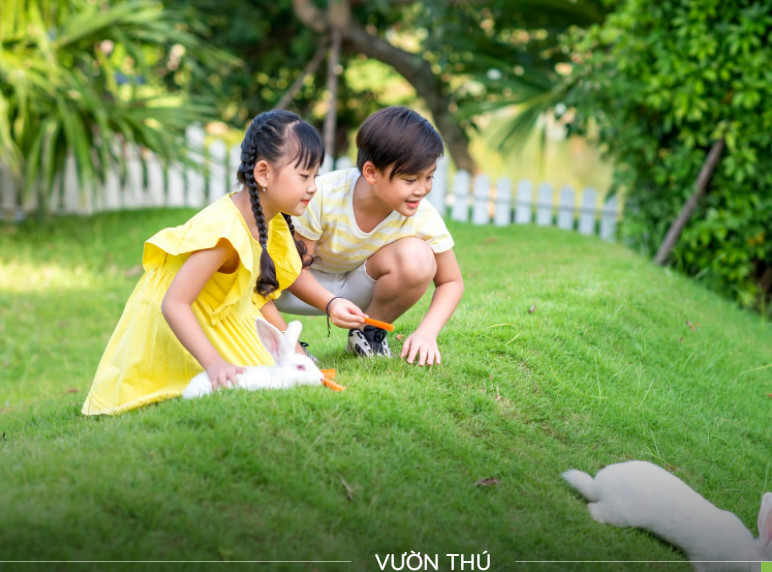 Đánh Giá Chi Tiết Dự Án Xanh Villas: Nơi Cuộc Sống Hòa Nhập Thiên Nhiên
