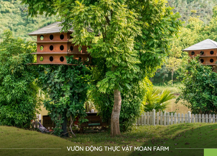 Hệ thống tiện ích cực đẳng cấp chỉ có tại Xanh Villas
