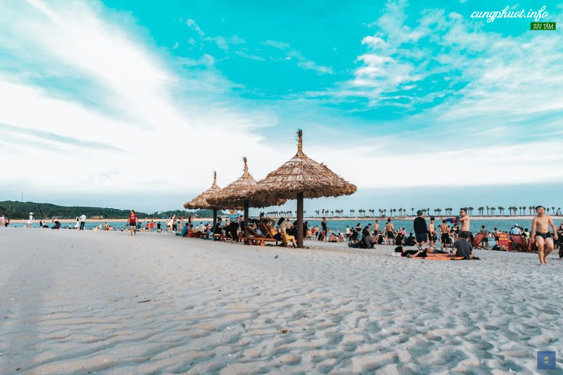 Thông tin chi tiết về Biệt thự Dragon Ocean Đồ Sơn