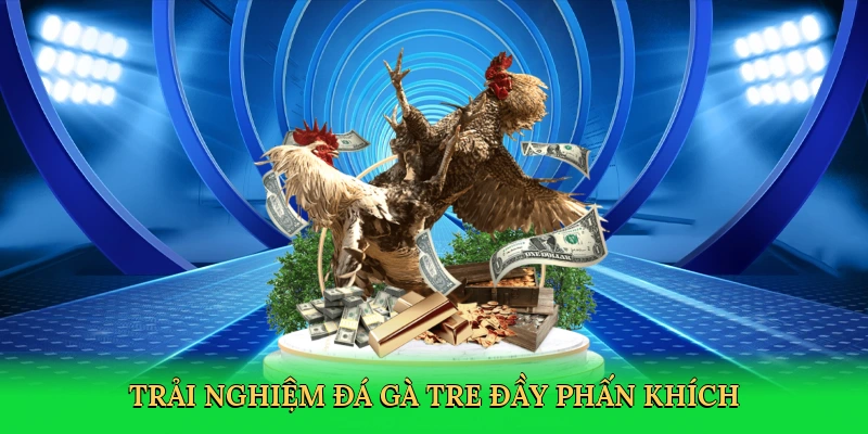 Đá Gà Tre – Hành Trình Cá Cược Kịch Tính Tại RED88