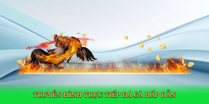 Đá Gà Nòi Cựa Sắt – Đam Mê Thắng Lớn Tại Xocdia88
