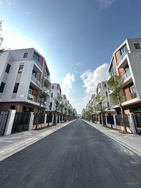 Tứ lập Ánh Dương – Thông tin cập nhật mới nhất 2024