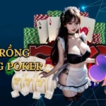Sảnh Rồng Trong Poker: Hành Trình Chinh Phục Đỉnh Cao Cùng Good88