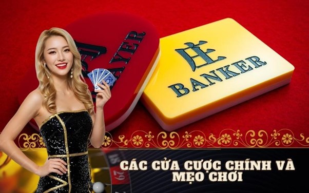 Các cửa cược chính và mẹo chơi