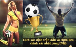 Đất SKS Là Gì? Những Thay Đổi Mới Về Quy Định Đất SKS
