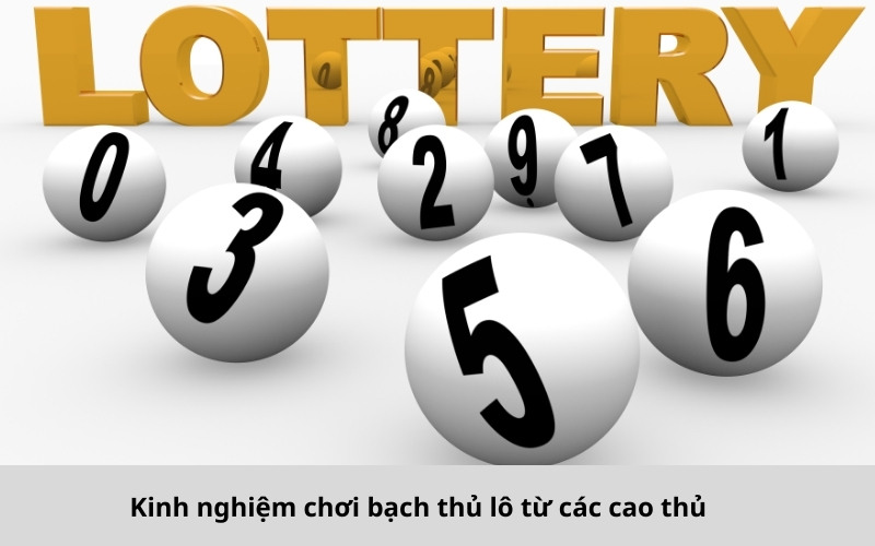 Kinh nghiệm chơi bạch thủ lô từ các cao thủ