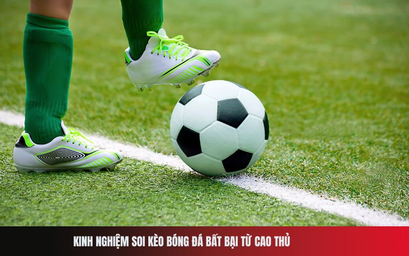 Kinh nghiệm soi kèo bóng đá bất bại từ cao thủ