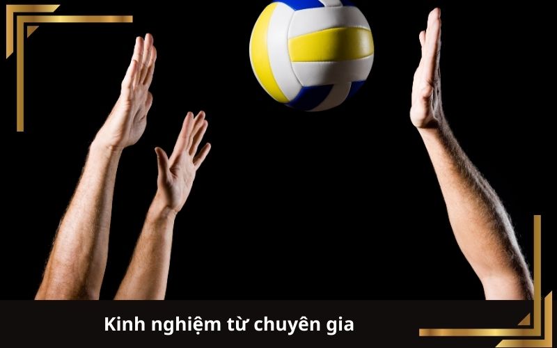 Kinh nghiệm từ chuyên gia