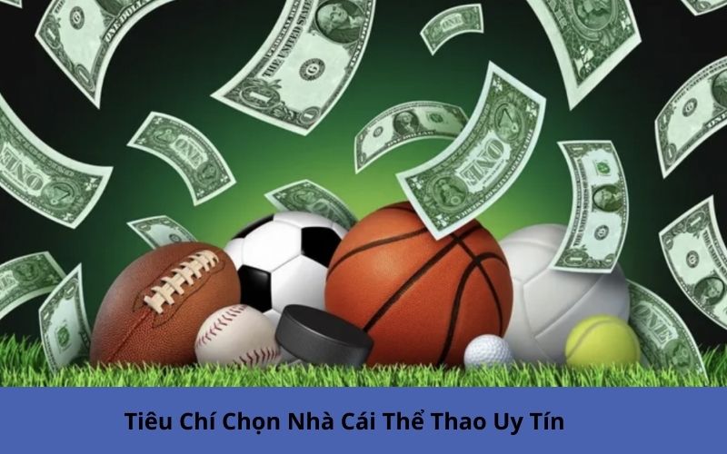 Tiêu Chí Chọn Nhà Cái Thể Thao Uy Tín