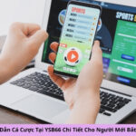 Hướng Dẫn Cá Cược Tại YSB66 Chi Tiết Cho Người Mới Bắt Đầu