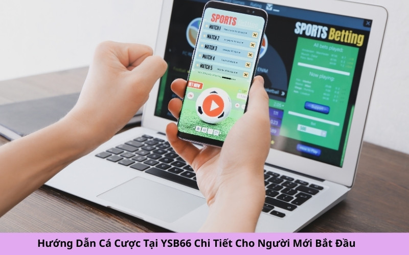 Hướng Dẫn Cá Cược Tại YSB66 Chi Tiết Cho Người Mới Bắt Đầu