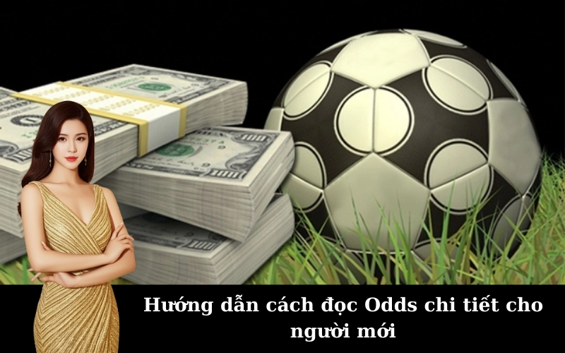 Odds là gì và cách đọc Odds hiệu quả