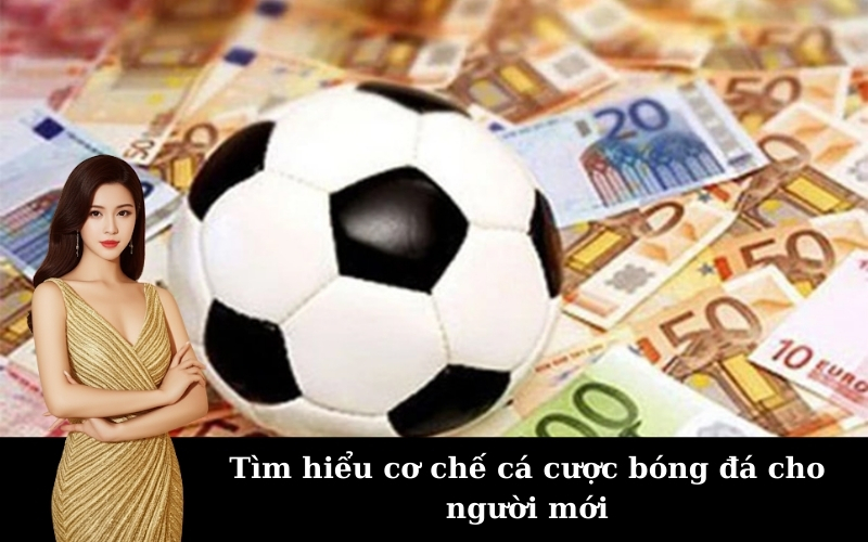 Tìm hiểu cơ chế cá cược bóng đá cho người mới