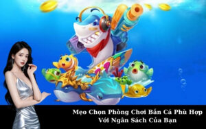 Minihotel Dragon Ocean Đồ Sơn: Cơ Hội Đầu Tư Bất Động Sản Hấp Dẫn
