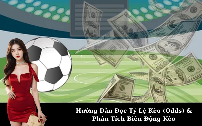 Hướng Dẫn Đọc Tỷ Lệ Kèo (Odds) & Phân Tích Biến Động Kèo