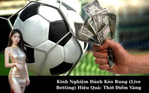 Hướng Dẫn Tính Diện Tích Đất Chính Xác Nhất