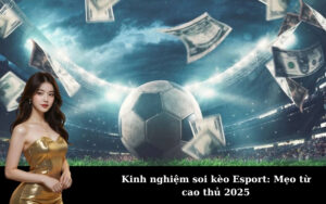 Tại sao nên mua đất nền tuyến số 3 Becamex Đồng Phú Bình Phước?